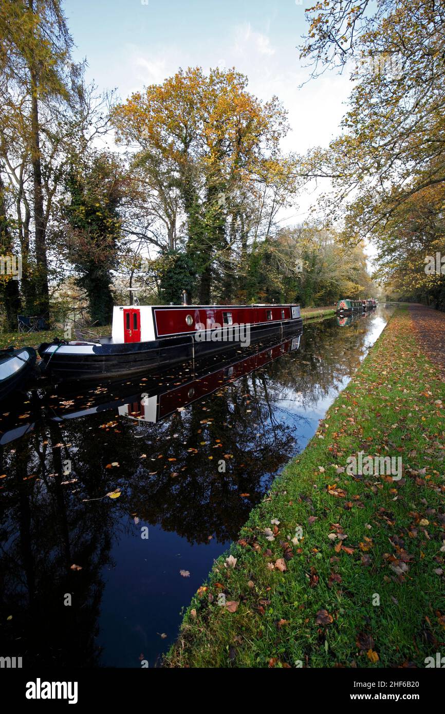 Llangollen canal with narrowboats moored up, `near the Pontcysyllte aqueduct. Stock Photo